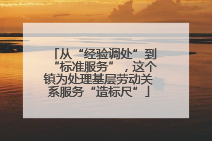 从“经验调处”到“标准服务”，这个镇为处理基层劳动关系服务“造标尺”